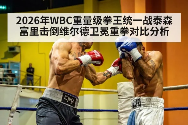 2026年WBC重量级拳王统一战泰森富里击倒维尔德卫冕重拳对比分析